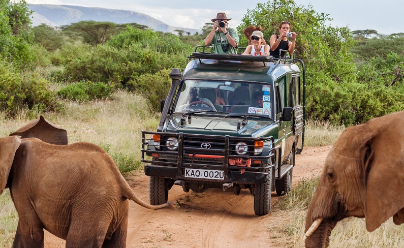 Südafrika gilt als das beliebteste Land der Welt, wenn es um Safaris für Familien und damit für mehrere Generationen geht.  ( Foto: Shutterstock-Pierre-Yves Babelon)